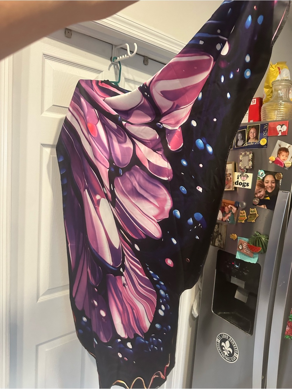 Butterfly wings - Picture 3 of 7
